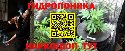 ECSTASY Будённовск