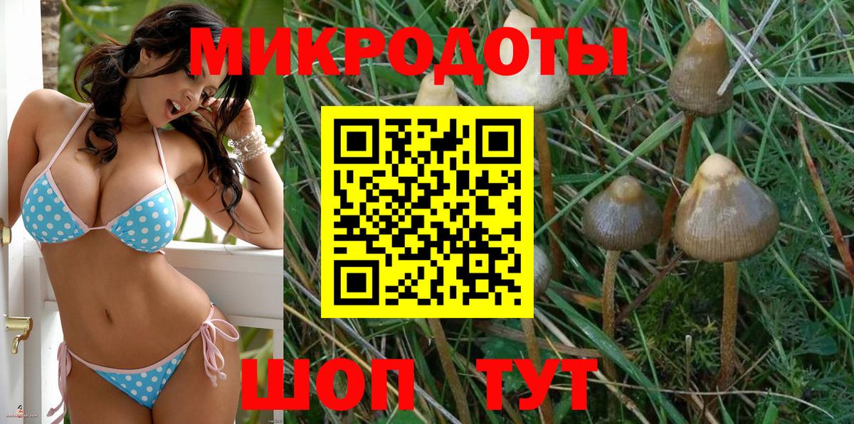 Галлюциногенные грибы GOLDEN TEACHER Берёзовский