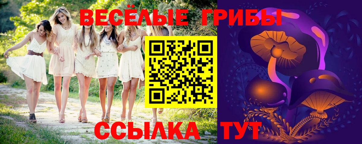 Берёзовский  где купить наркоту  Вход с VPN  Псилоцибиновые грибы MAGIC MUSHROOMS 